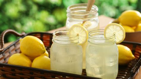 lemoncam turkish|Turkish Lemonade or Limonata Recipe .